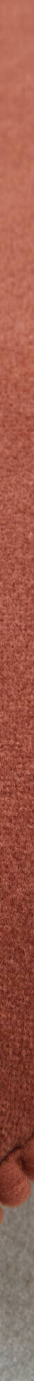 Effen kussen in velours met fantasieafwerking (terracotta) Effen kussen in velours met fantasieafwerking (terracotta)